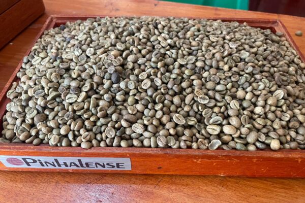 Upendo Premium Produce Upendo Premium Produce